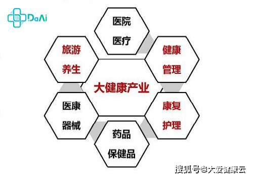 k8凯发医疗健康医疗健康行业分类大健康产